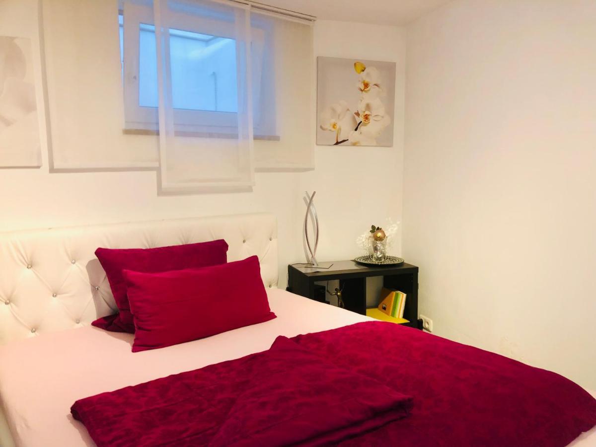 Nice Apartment شوارزينبورك المظهر الخارجي الصورة